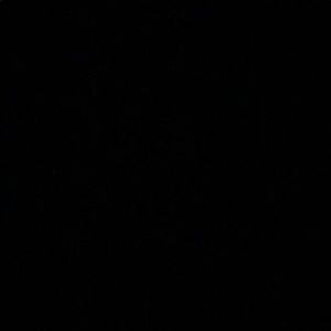 Meet your Posher, Lily